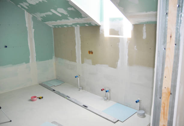 Best Black Mold Removal  in Germantown, WI