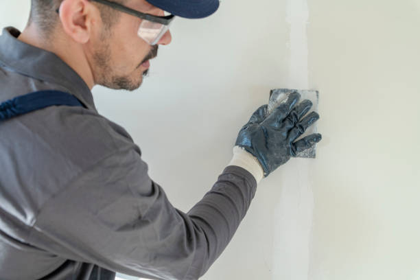  Germantown, WI Mold Removal Pros