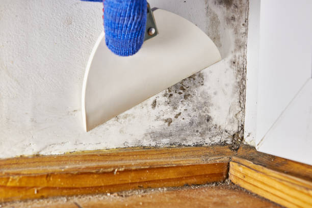 Asbestos and Lead Testing During Mold Inspection in Germantown, WI