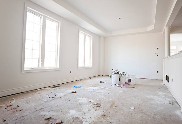 Best Attic Mold Removal  in Germantown, WI