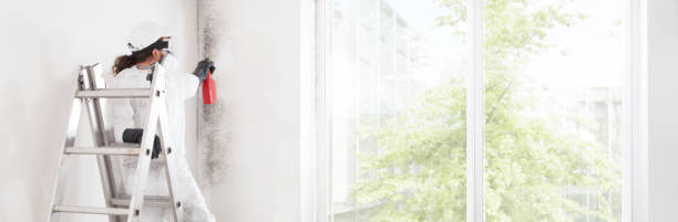 Best Asbestos and Lead Testing During Mold Inspection  in Germantown, WI